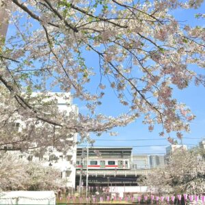 About e33ba459e01ea9ea164007ae0ddb1514